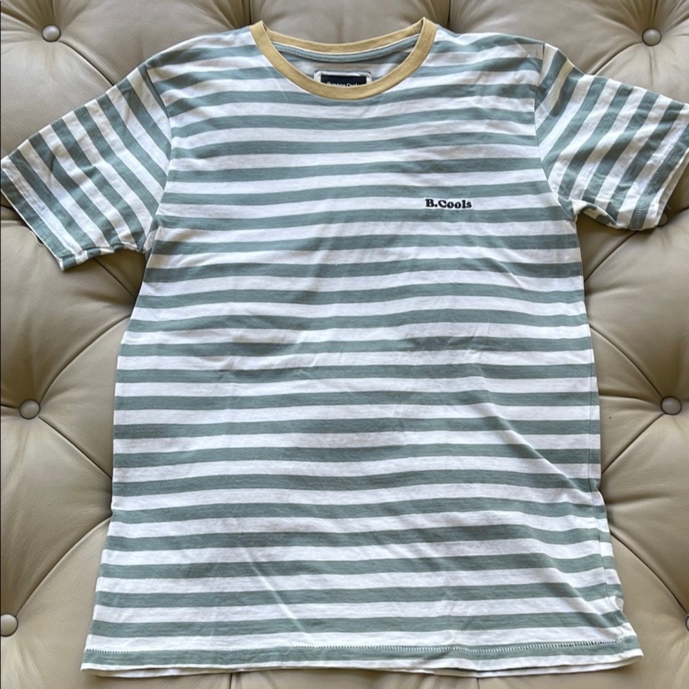 Barney Cools Men's Striped Green and White T-Shirt Size S